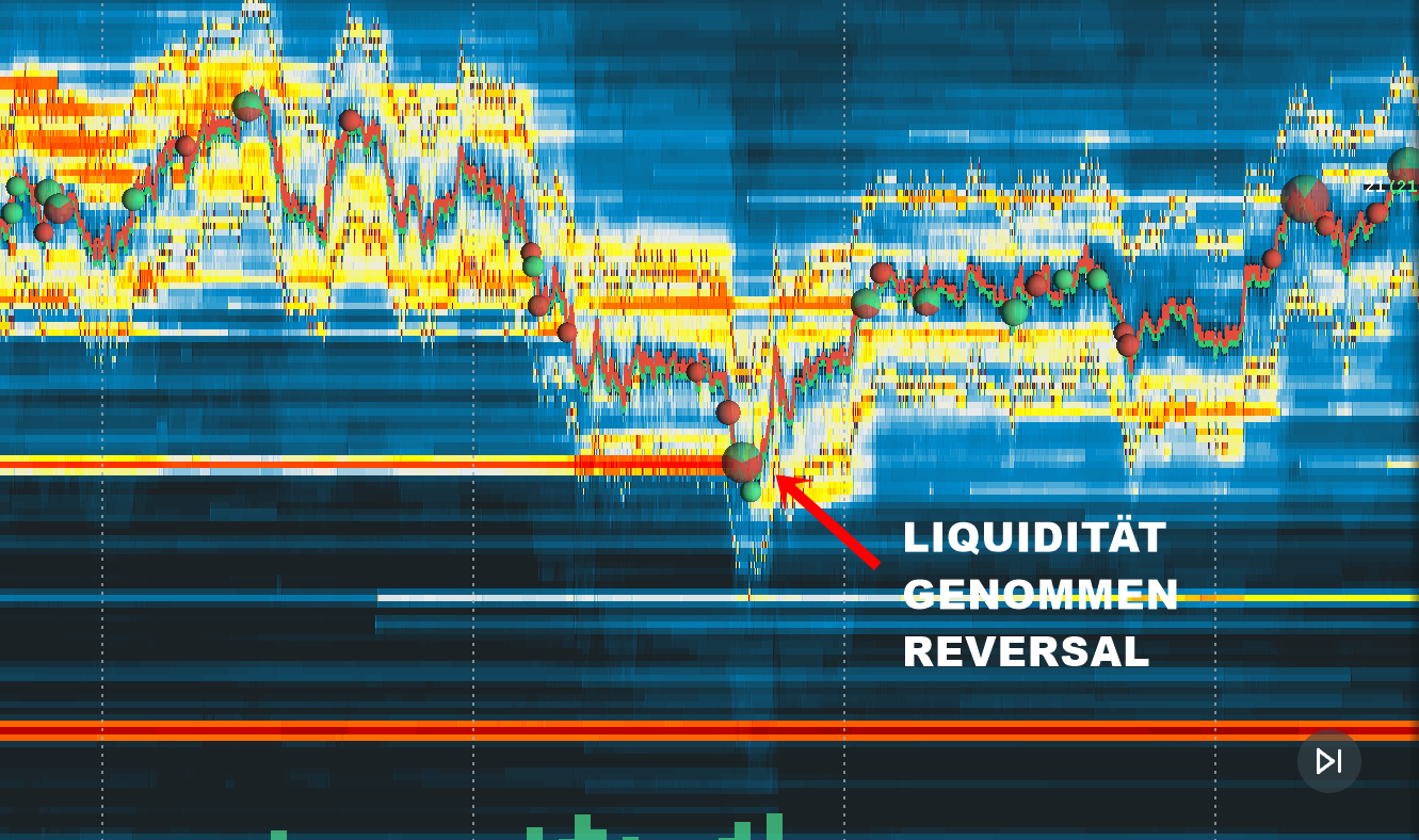 Bookmap Liquidität genommen Reversal 