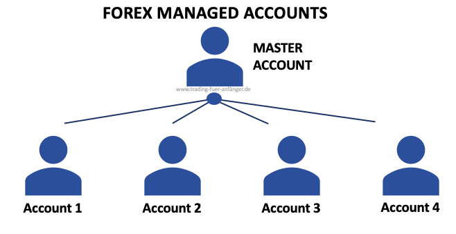 Forex Managed Accounts 
