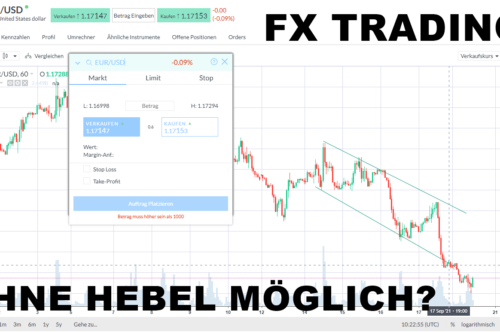 Forex-Trading-ohne-Hebel