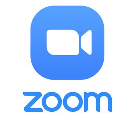 Zoom Logo 