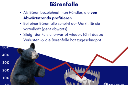 Bärenfalle Infografik