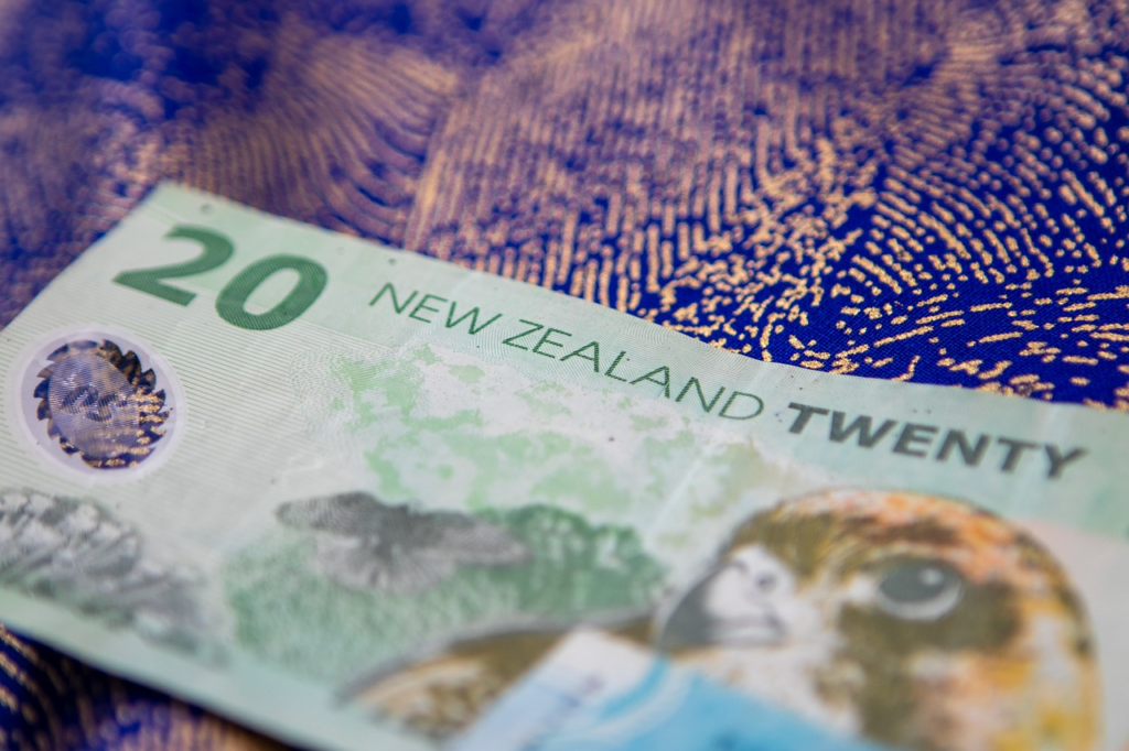 NZD Banknote